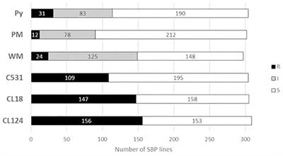 Screening for resistance to four fungal diseases and associated genomic regions in a snap bean diversity panel